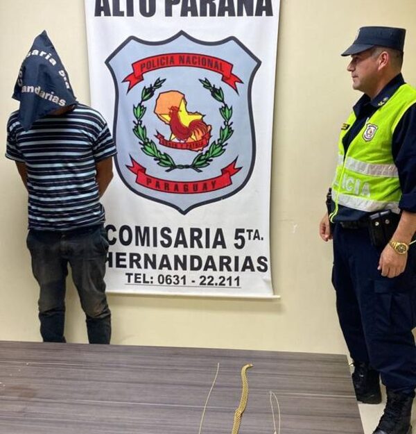 Capturan a delincuente con frondosos antecedentes