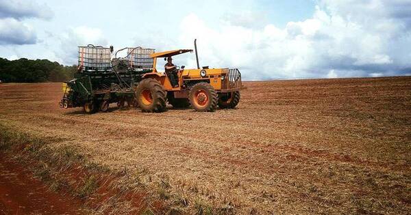 La Nación / FAO aborda transformación agrícola y desarrollo rural sostenible en Paraguay