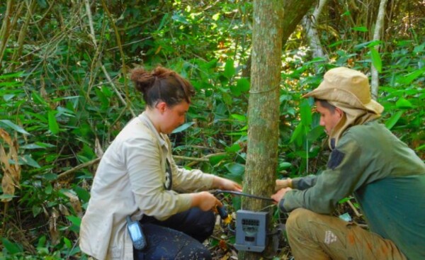 Monitorean con cámaras biodiversidad en la Reserva de Biósfera Itaipu