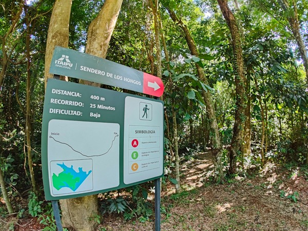 Diario HOY | Habilitarán un sendero de los hongos