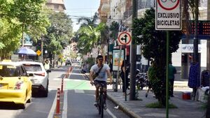 Comuna plantea sacar separadores de bicisenda sobre calle Palma