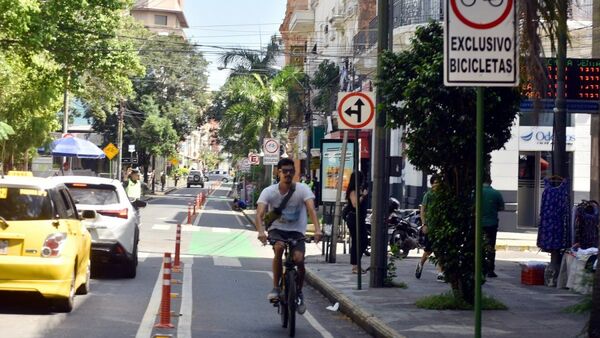 Comuna plantea sacar separadores de bicisenda sobre calle Palma