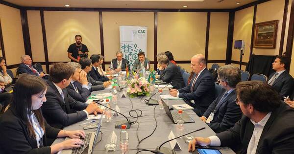 La Nación / Ministros del CAS abordaron temas de interés regional, como la gripe aviar y la sequía