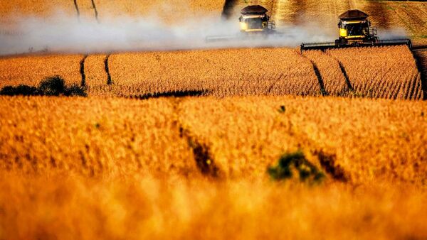Nueva ley medioambiental europea puede afectar acuerdo con Mercosur