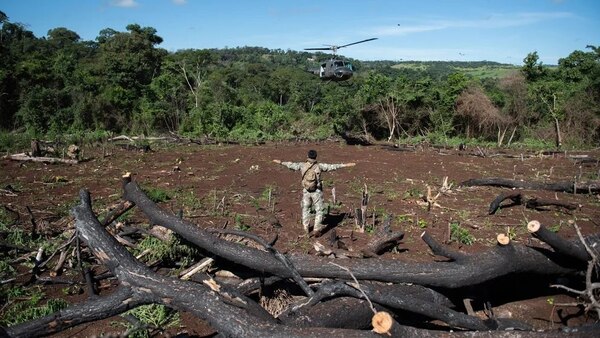 Paraguay y Brasil inician operación "Nueva Alianza 37" y anulan 111 toneladas de marihuana en primera jornada - .::Agencia IP::.