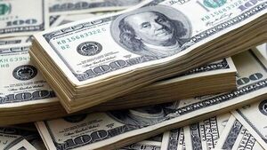 Exigen acciones contra la fuga de dólares a la Argentina | 1000 Noticias