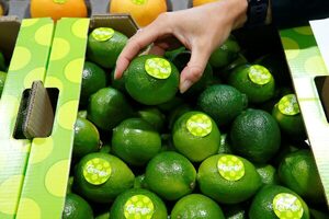 Greenpeace denuncia pesticidas vetados en UE en limas procedentes de Brasil - MarketData