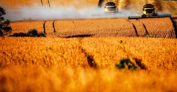 Nueva ley medioambiental europea puede afectar acuerdo con Mercosur