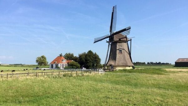 ¿Chau Holanda productiva? | Columnas | 5Días