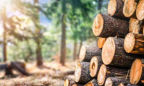 Nueva ley medioambiental europea puede afectar acuerdo con Mercosur - OviedoPress