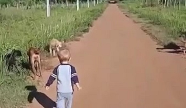 El pequeño Benja necesita un lugar digno - C9N