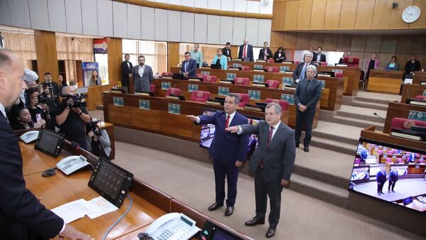 Kronawetter y Jiménez juran como representantes ante el Consejo