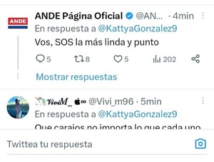 Diario HOY | ANDE pide disculpas por tuit equivocado con piropo a una diputada