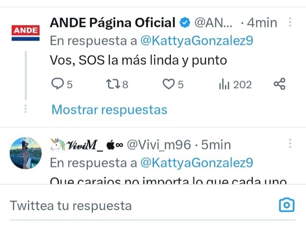 Diario HOY | ANDE pide disculpas por tuit equivocado con piropo a una diputada