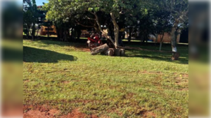 Ocho malevos "visitaron" una estancia y se llevaron dineral