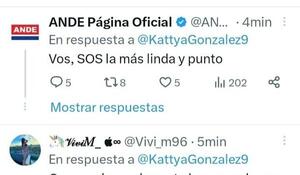 ANDE envía un tuit piropeando a una diputada, alegan que fue una equivocación. – Prensa 5