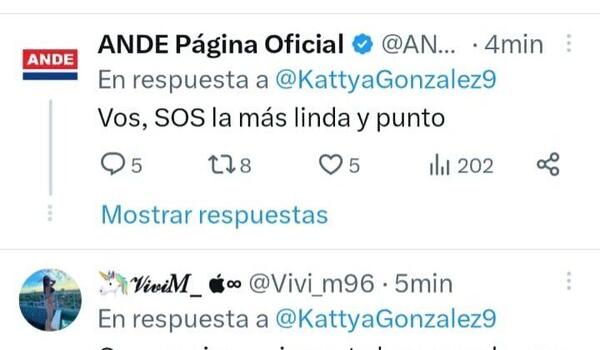 ANDE envía un tuit piropeando a una diputada, alegan que fue una equivocación. – Prensa 5