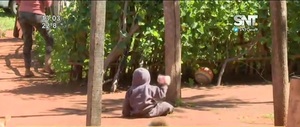 Ayudemos a ayudar; El pequeño Benja necesita un lugar digno - SNT