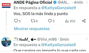 ANDE pide disculpas por tuit equivocado con piropo a una diputada - OviedoPress