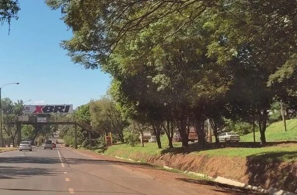 Adolescente muere atropellada por un automóvil y conductor huye - ABC en el Este - ABC Color