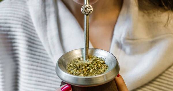 La Nación / Los beneficios de beber mate todos los días