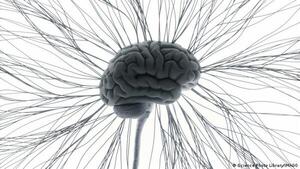 Científicos descubren una "conexión literal" entre cuerpo y mente en el cerebro