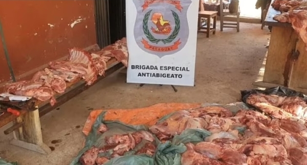 Autoridades inician lucha frontal contra el abigeato