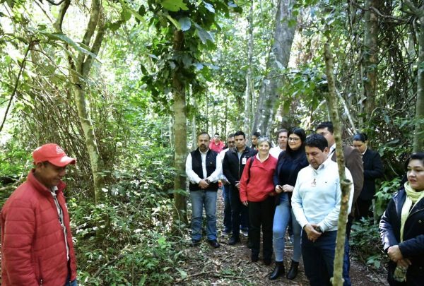 Habilitan sendero “Los Hongos” en la Reserva Natural Tatí Yupí - Noticde.com