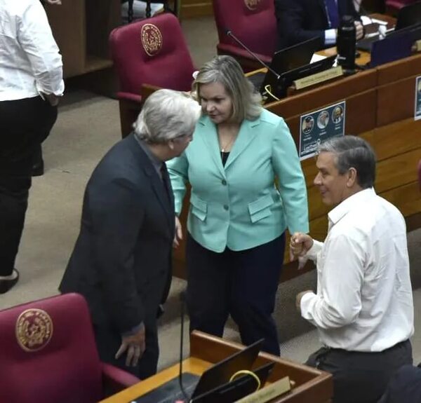 Senado aprueba cárcel o multa por no responder pedidos de informes al Poder Legislativo - Política - ABC Color