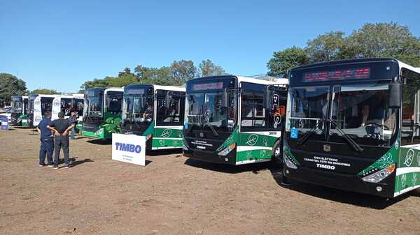 Municipalidad presenta 20 buses eléctricos que operarían en un mes - La Clave