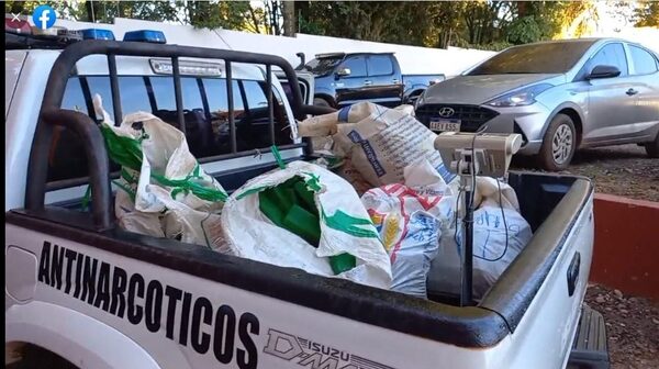Incautan carga de marihuana en CDE