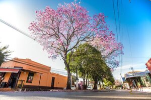 Pronostican seguidilla de mañanas frías - Oasis FM 94.3