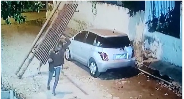 Roban rejas del Jardín Botánico | 1000 Noticias