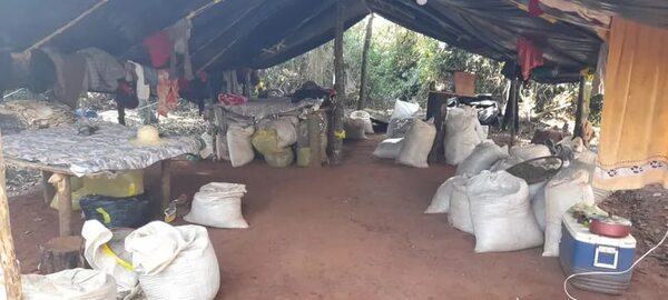 Destruyen complejo de narcos valuado en 30 millones de dólares en Amambay - Policiales - ABC Color