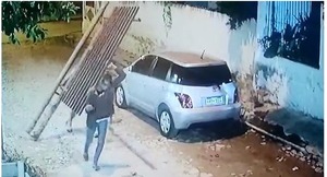 Roban rejas del Jardín Botánico