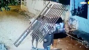 Video: de a pie roban rejas del Jardín Botánico - Nacionales - ABC Color