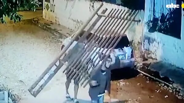 Video: de a pie roban rejas del Jardín Botánico - Nacionales - ABC Color