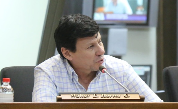 'Efraín Alegre es un peligro para la clase empresarial', afirma Harms
