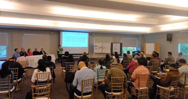 La DINAPI y la GIZ iniciaron talleres de formación en Competitividad Verde y Propiedad Intelectual