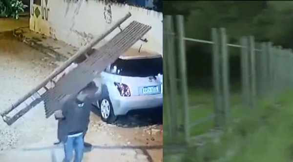 Diario HOY | El colmo: roban rejas del Jardín Botánico y sospechan de "chespis"