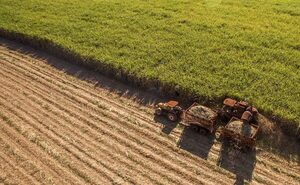 Suben a “py A+F” la nota de AT Agro Fondo de Inversión Financiero Paraguay | Agronegocios | 5Días