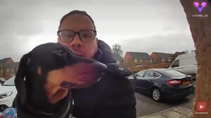 Un feliz paseador de perros pillado a mitad de una canción de Ring Doorbell - Mascotas - ABC Color