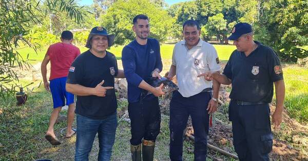 La Nación / Reclusos de Emboscada se destacan por producir peces
