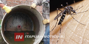 SE MANTIENEN LA CANTIDAD DE NOTIFICACIONES DE CHIKUNGUNYA Y DENGUE EN ITAPÚA - Itapúa Noticias