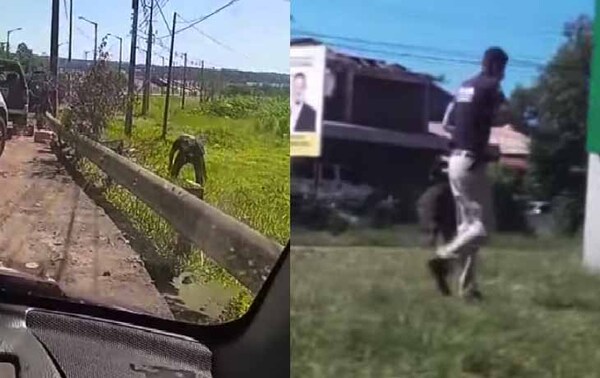 Arrojan abejas a intervinientes para frenar incautación de combustible de contrabando en Encarnación – Prensa 5