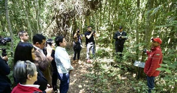 La Nación / Con sendero Los Hongos buscan promover el contacto con la naturaleza