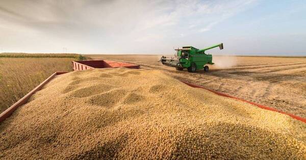 La Nación / Prevén 1,5% menos de producción mundial de soja con relación a estimación de marzo