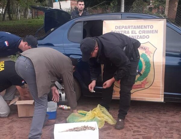 Militar afrontará juicio oral por venta de municiones de la DIMABEL