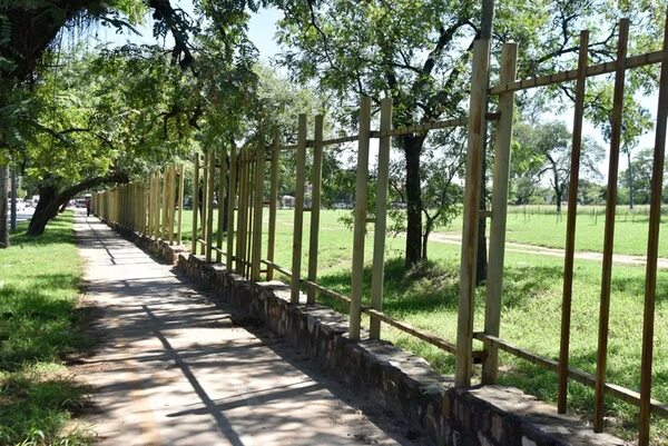 Nenecho mantiene  al Jardín Botánico en total estado de abandono - Nacionales - ABC Color
