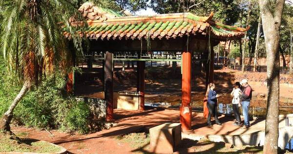 La Nación / Instituciones se movilizan para revitalizar el Parque Chino de Ciudad del Este